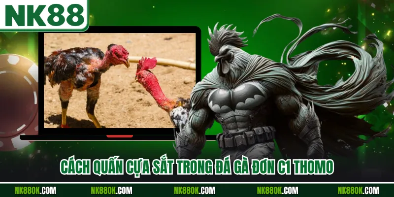 Cách quấn cựa sắt trong đá gà đơn C1 Thomo