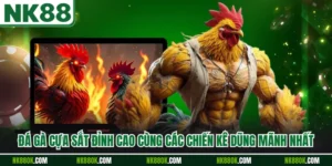 Đá Gà Cựa Sắt Đỉnh Cao Cùng Các Chiến Kê Dũng Mãnh Nhất