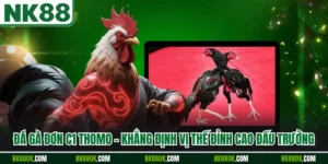 Đá Gà Đơn C1 Thomo - Khẳng Định Vị Thế Đỉnh Cao Đấu Trường