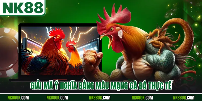 Giải mã ý nghĩa bảng màu mạng gà đá thực tế