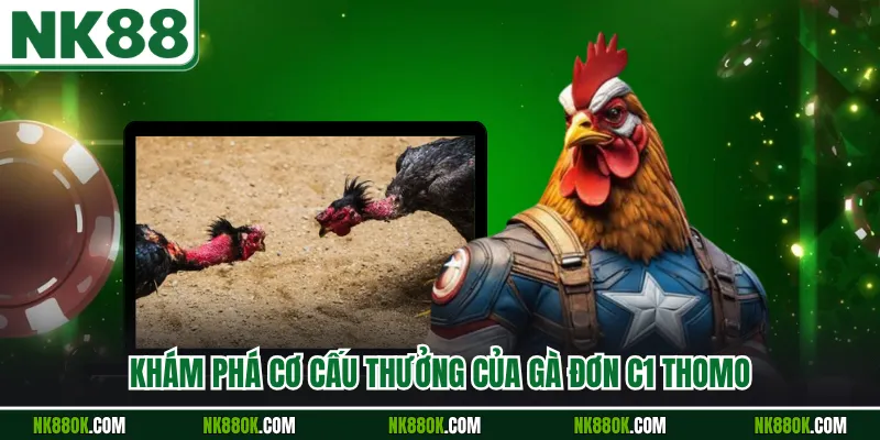 Khám phá cơ cấu thưởng của gà đơn C1 Thomo